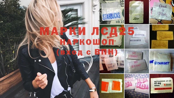 крисы Липки