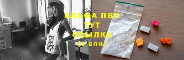 крисы Липки