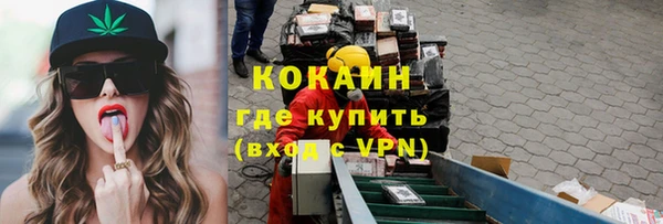 крисы Липки