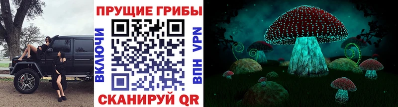 Купить закладки  Яранск  Псилоцибиновые грибы Psilocybe 